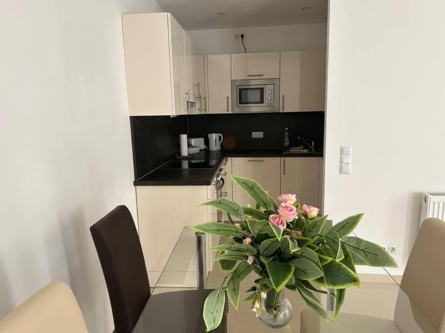 Apartment Merkur 비엔나 외부 사진